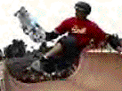 Bitmap Image