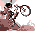 Bitmap Image