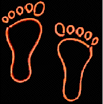Bitmap Image
