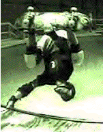 Bitmap Image